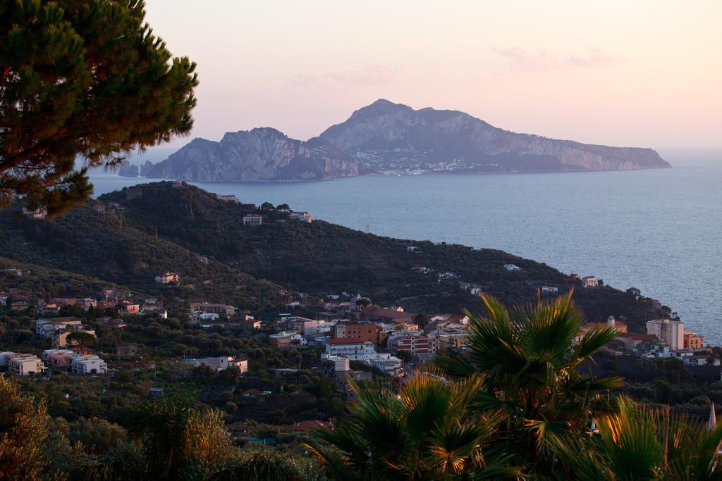 Villa Eliana Sorrento Esterno foto