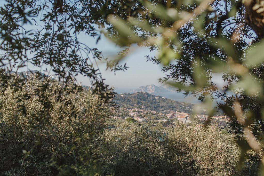 Villa Eliana Sorrento Esterno foto